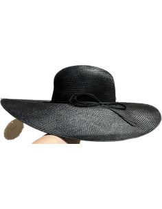 19501 CAPELLO PARASYSAL