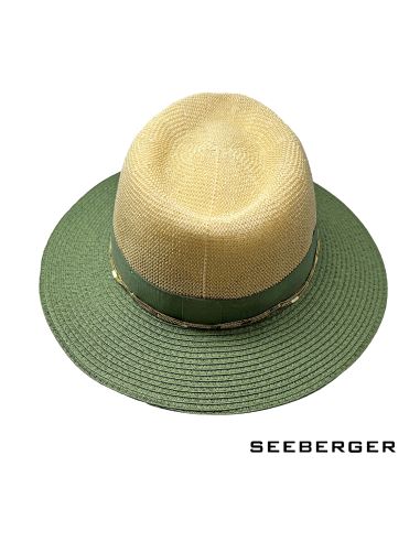 Traveller Seeberger