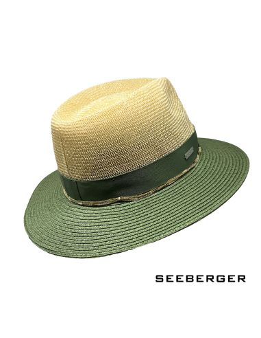 Traveller Seeberger