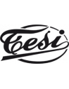 Tesi